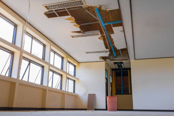 Best Ceiling water damage repair  in Woodmere, NY
