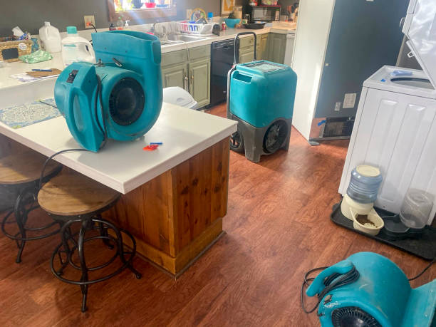 Best Mold removal after water damage  in Woodmere, NY