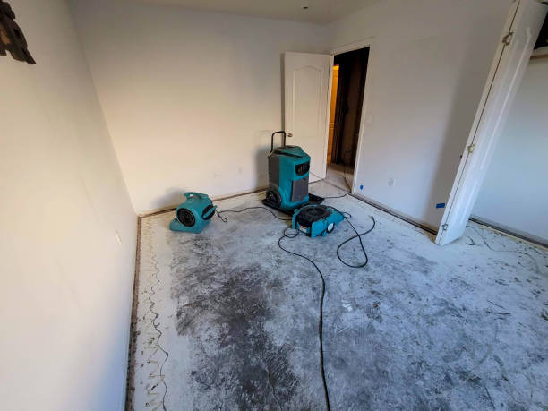 Best Flooded house restoration  in Woodmere, NY