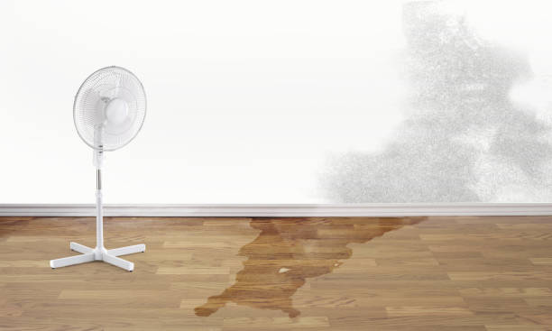 Woodmere, NY Water damage restoration Company