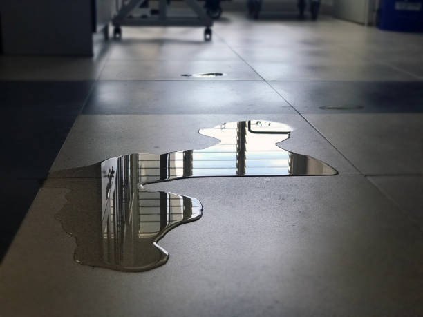 Best 24/7 water damage repair  in Woodmere, NY