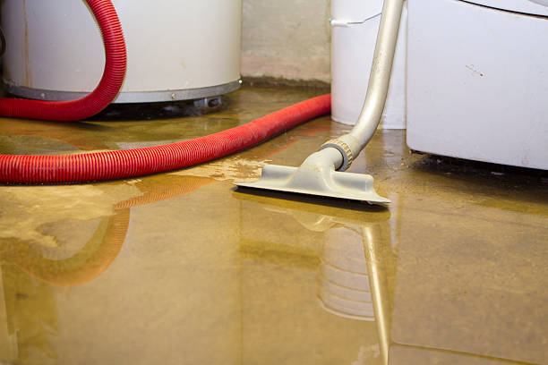 Best Water damage cleanup near me  in Woodmere, NY