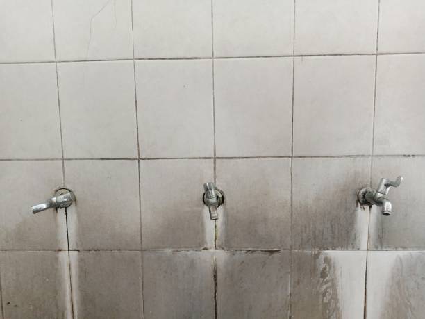 Best Water damage restoration company  in Woodmere, NY