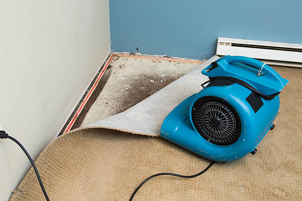 Best Ceiling water damage repair  in Woodmere, NY