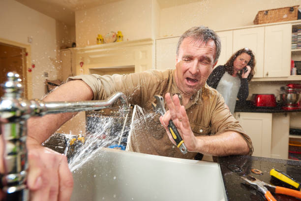 Best Mold removal after water damage  in Woodmere, NY